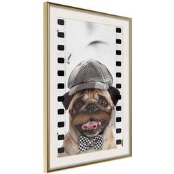 Arkiio Affisch Pug In Hat [Poster] 20x30 Poster